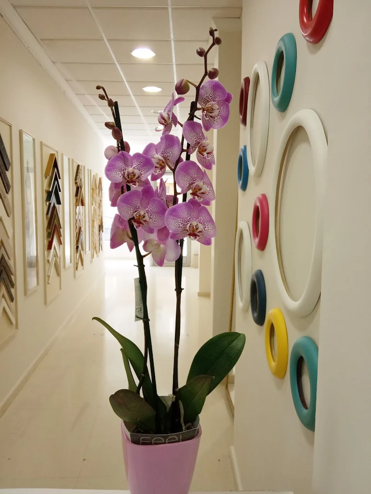 Marquetería Paraíso – taller en Tomelloso